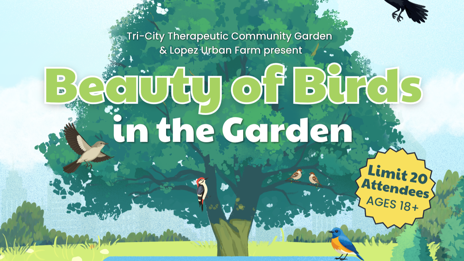 Beauty of Birds in the Garden Workshop
