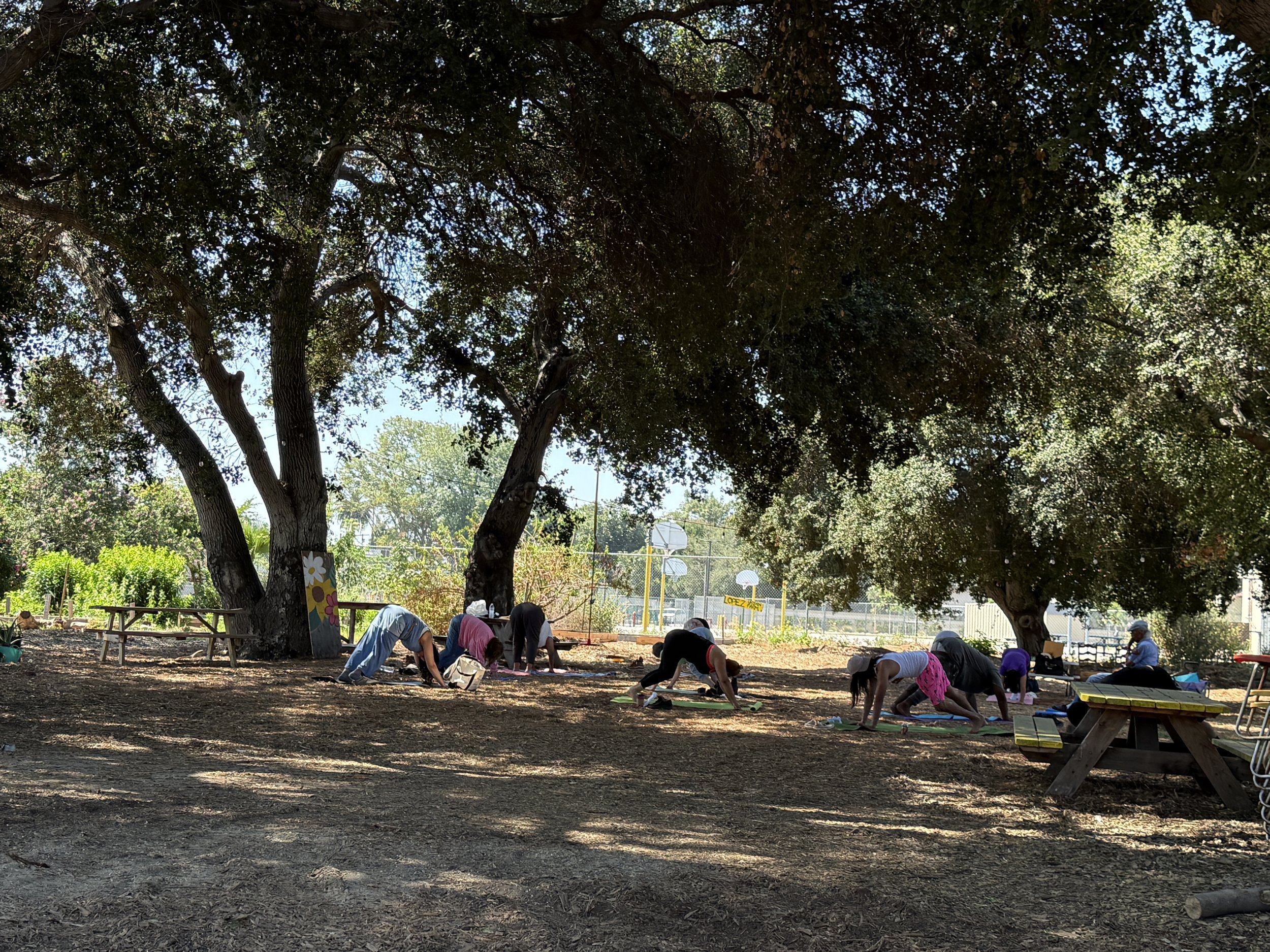 FREE Family Bilingual Yoga w/Juanita