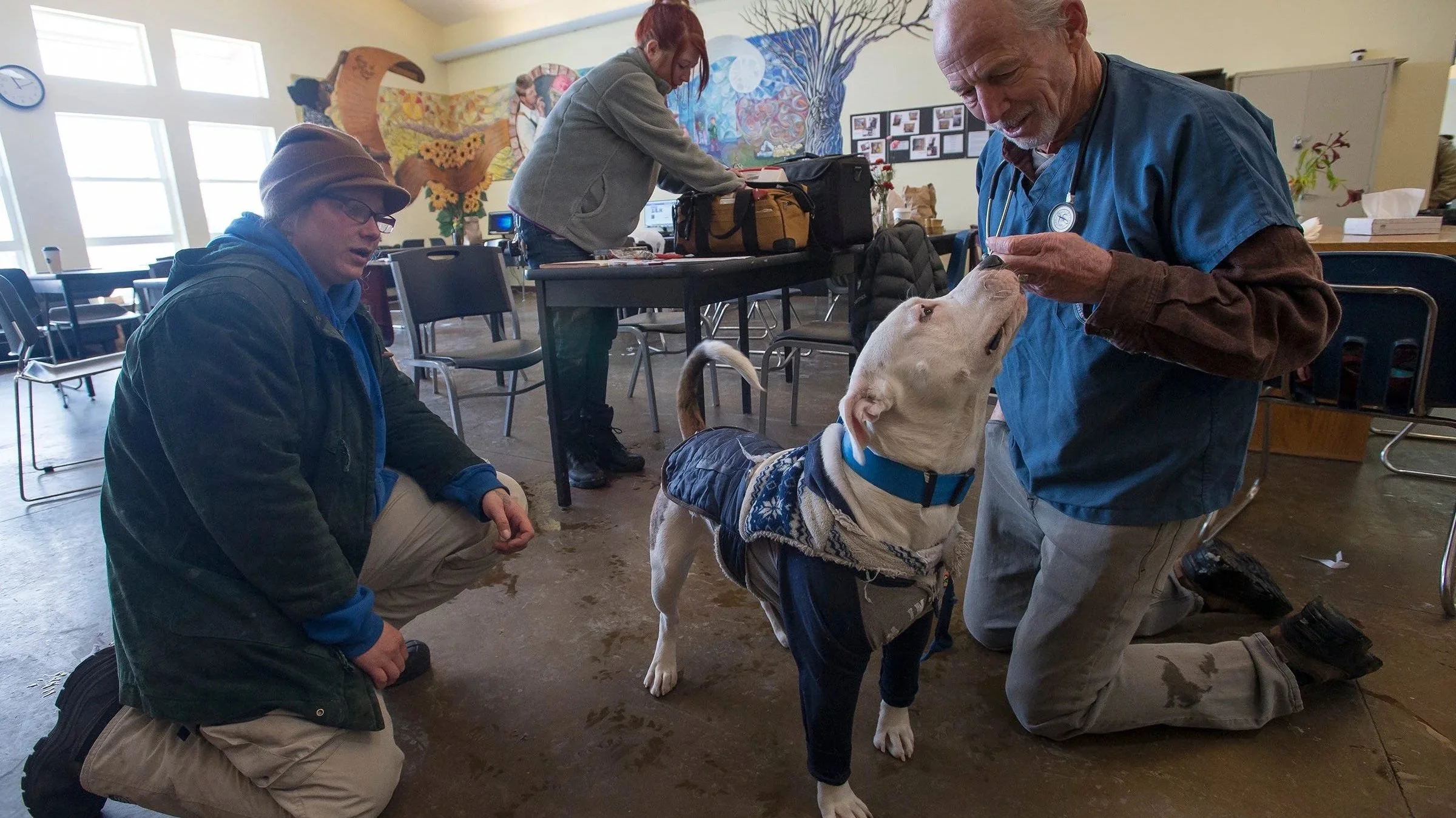 Street Dog Clinic