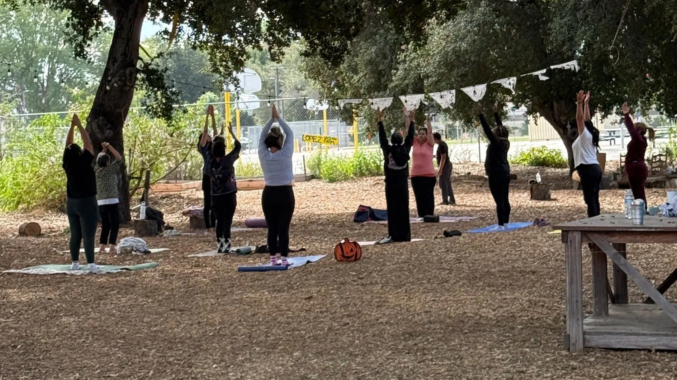 FREE Family Bilingual Yoga w/Juanita