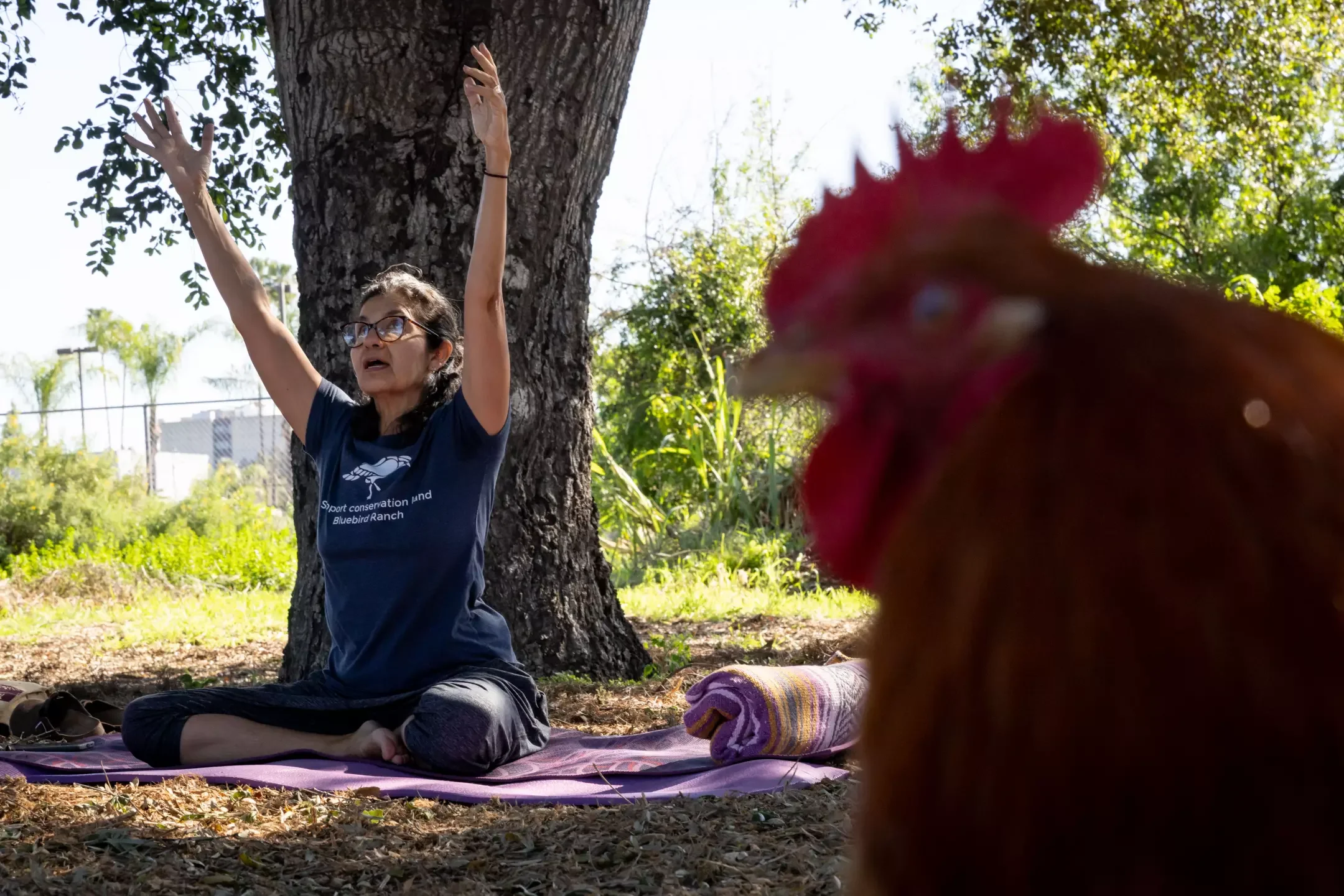 FREE Family Bilingual Yoga w/Juanita