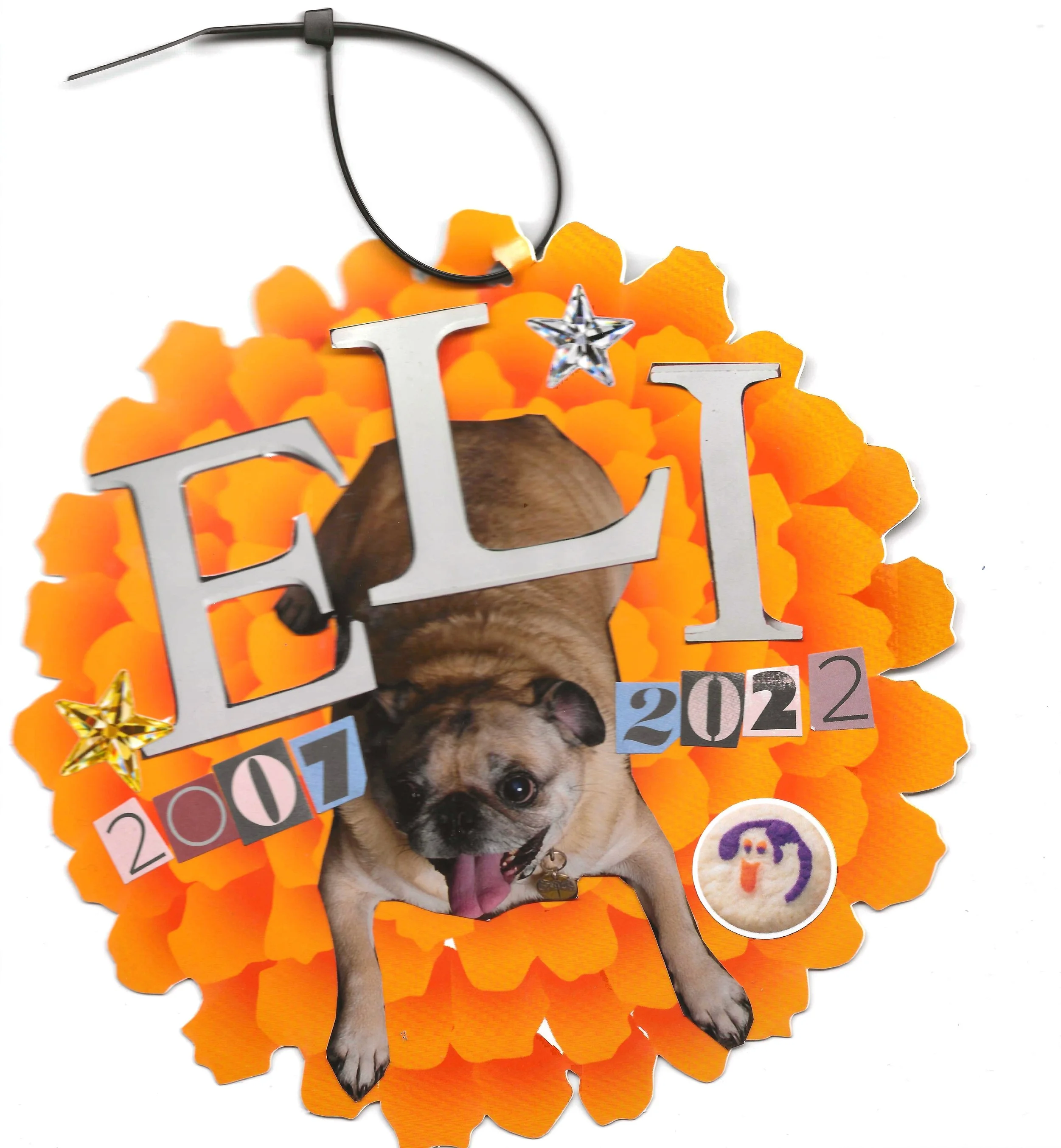 EliMarigold.jpg
