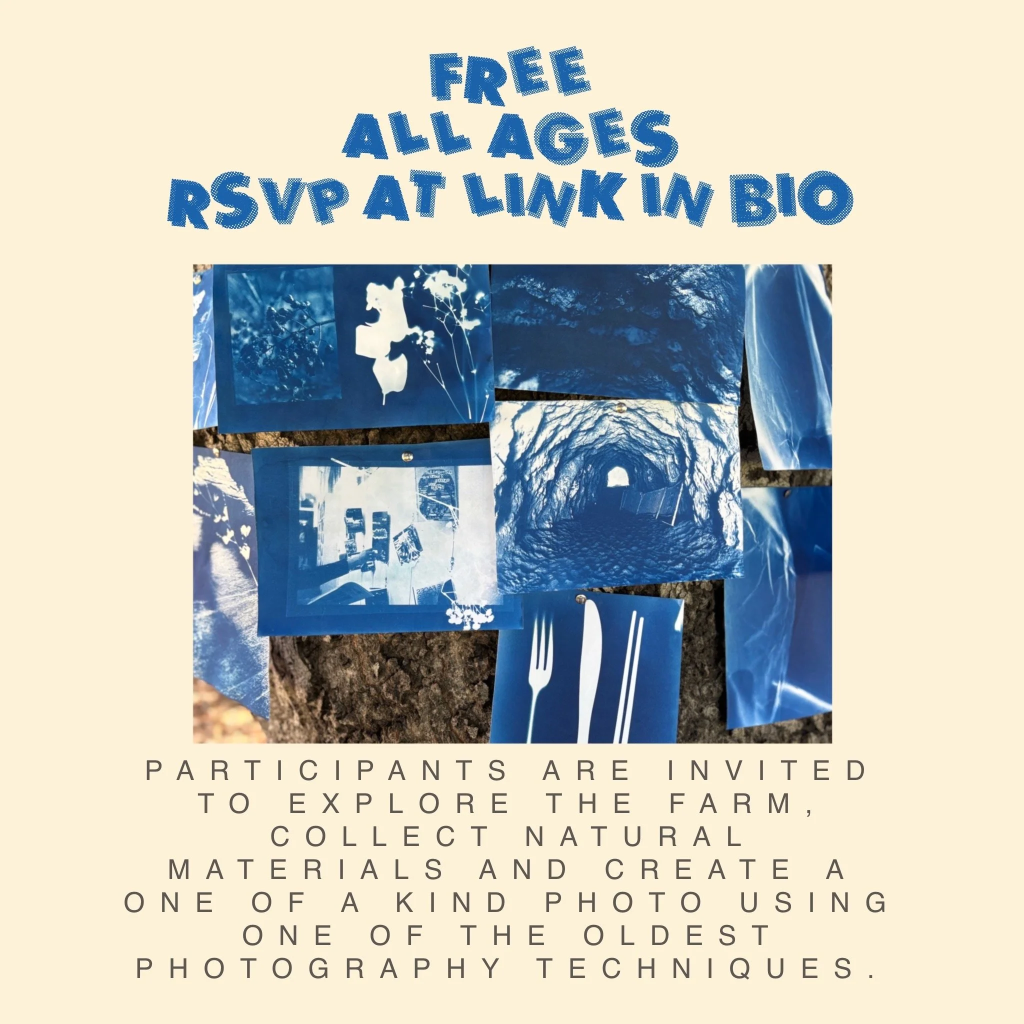 CYANOTYPE1.jpeg