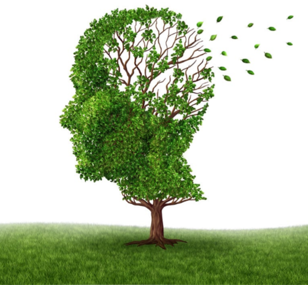 Hiperbudnost: ko moje telo govori,  preden ga zaslišim 