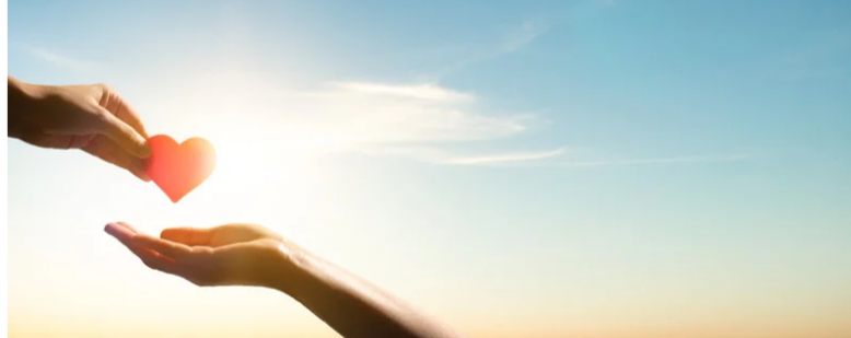 Po delavnici postavitve družine 31.1.2026 - Mama je naš prvi stik z življenjem 