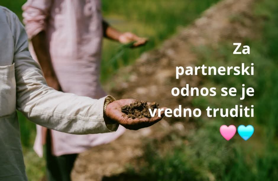 Zapis stranke po individuali partnerski postavitvi družine 