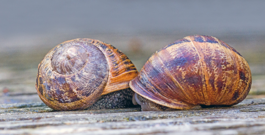 Nekaj nosiš, pa ne veš kaj