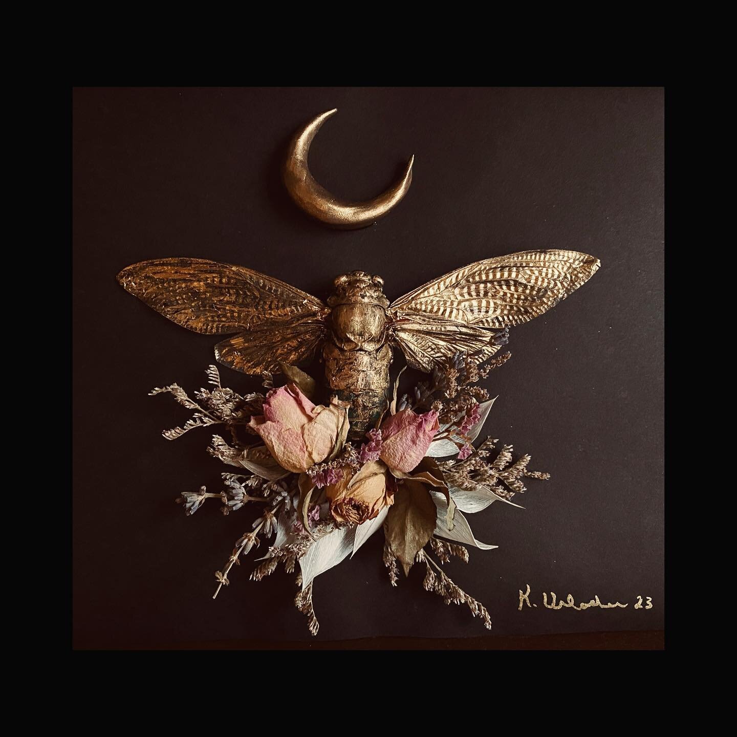 Have you ever heard the cicadas sing? 

#artistsoninstagram #artistkristenurlacher #luna #cicada #taxidermyart #driedflowerart #handmade #neworleans