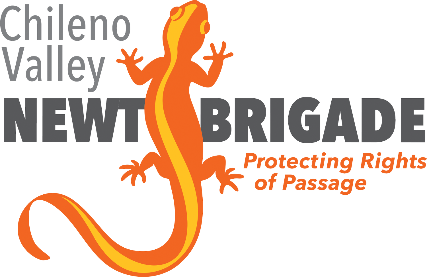 Chileno Valley Newt Brigade