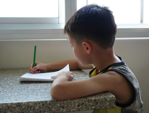 Ten Reasons Public School Did NOT Work For Our Family.