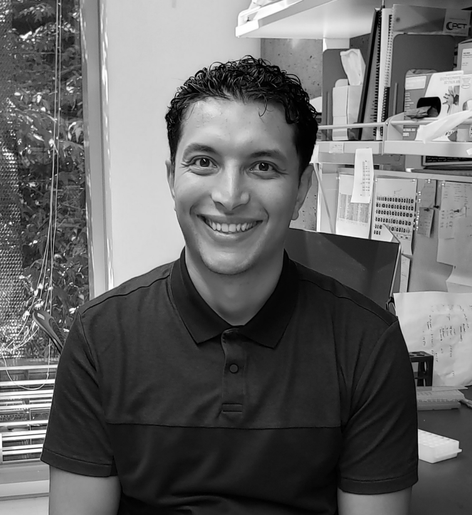 Hichem Tasfaout_gray.png