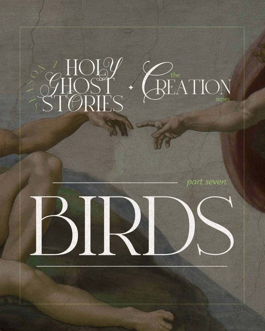 Season 7, Episode 7: Creation, part 7: Birds