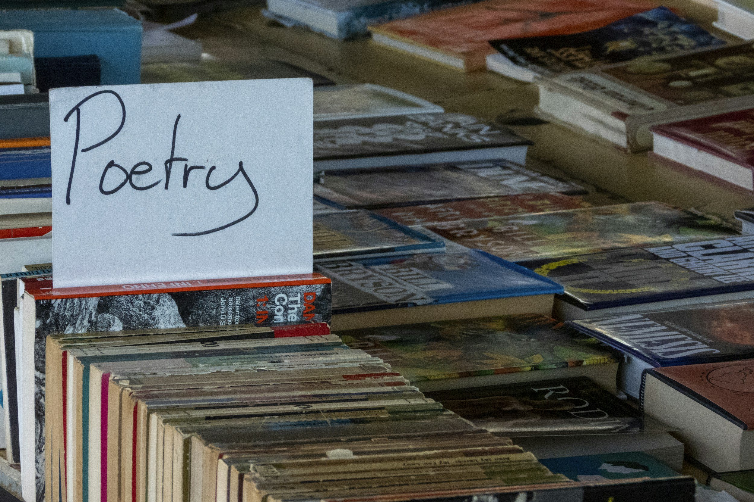 Why Poetry Speaks to Grief and Loss—and Opens the Door to Healing