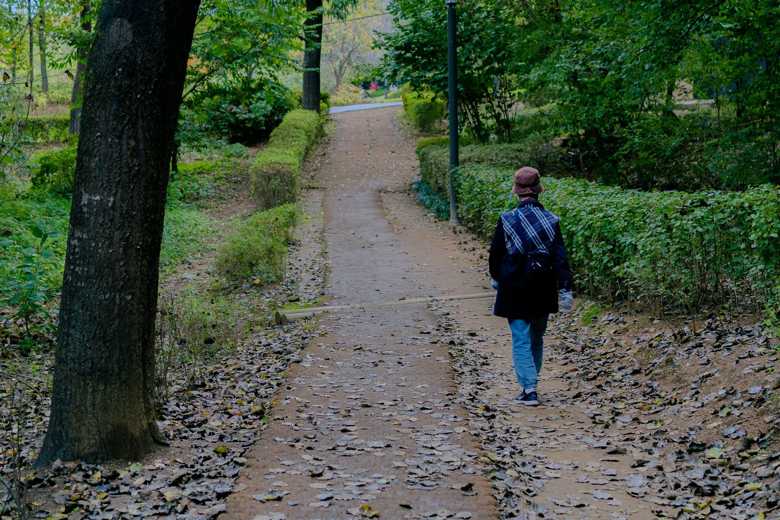 10 Comforting Activities for Grief That Are Free or Low-Cost
