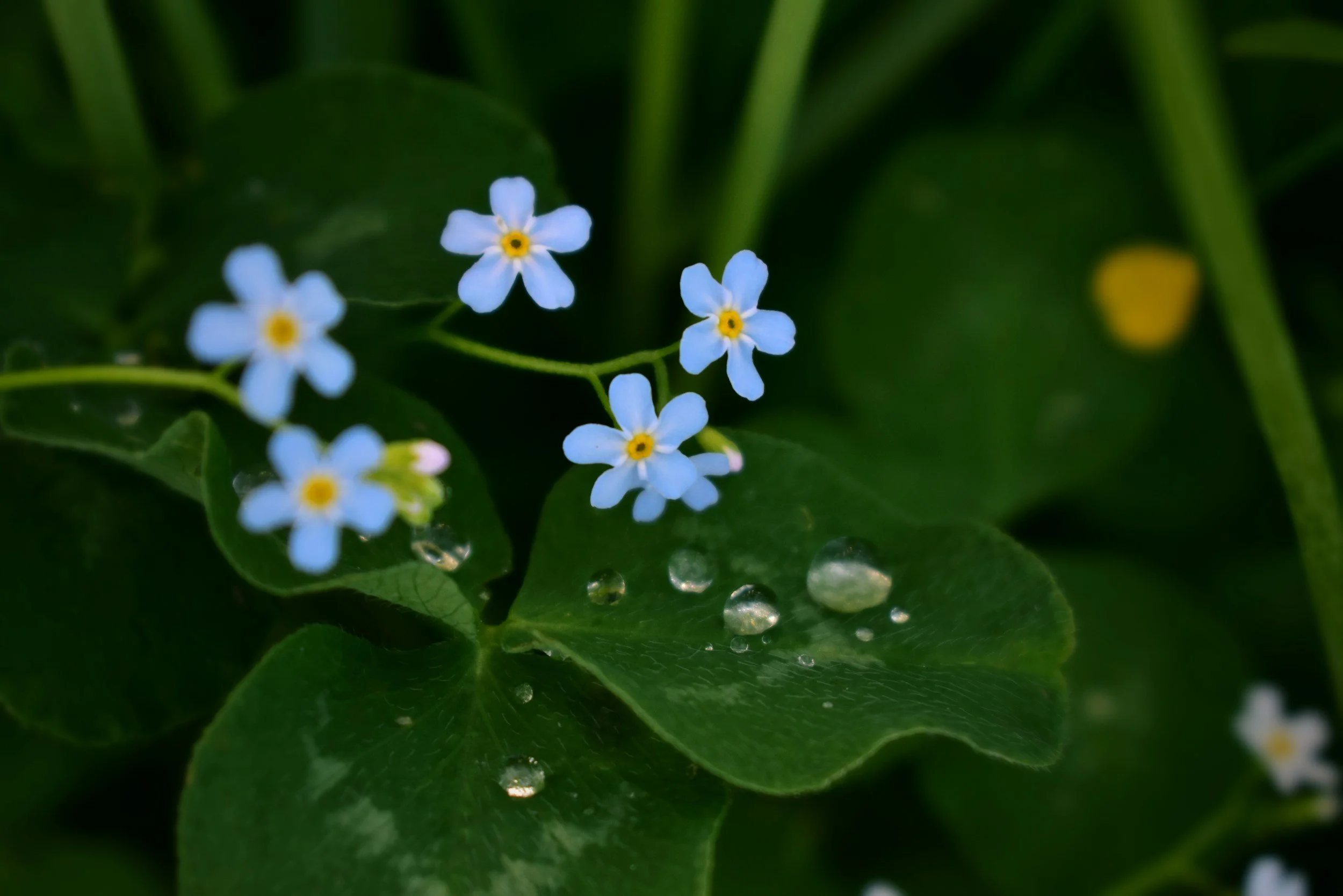 5 Reasons Why You Can’t Cry After a Loss—Even If You’re Sad