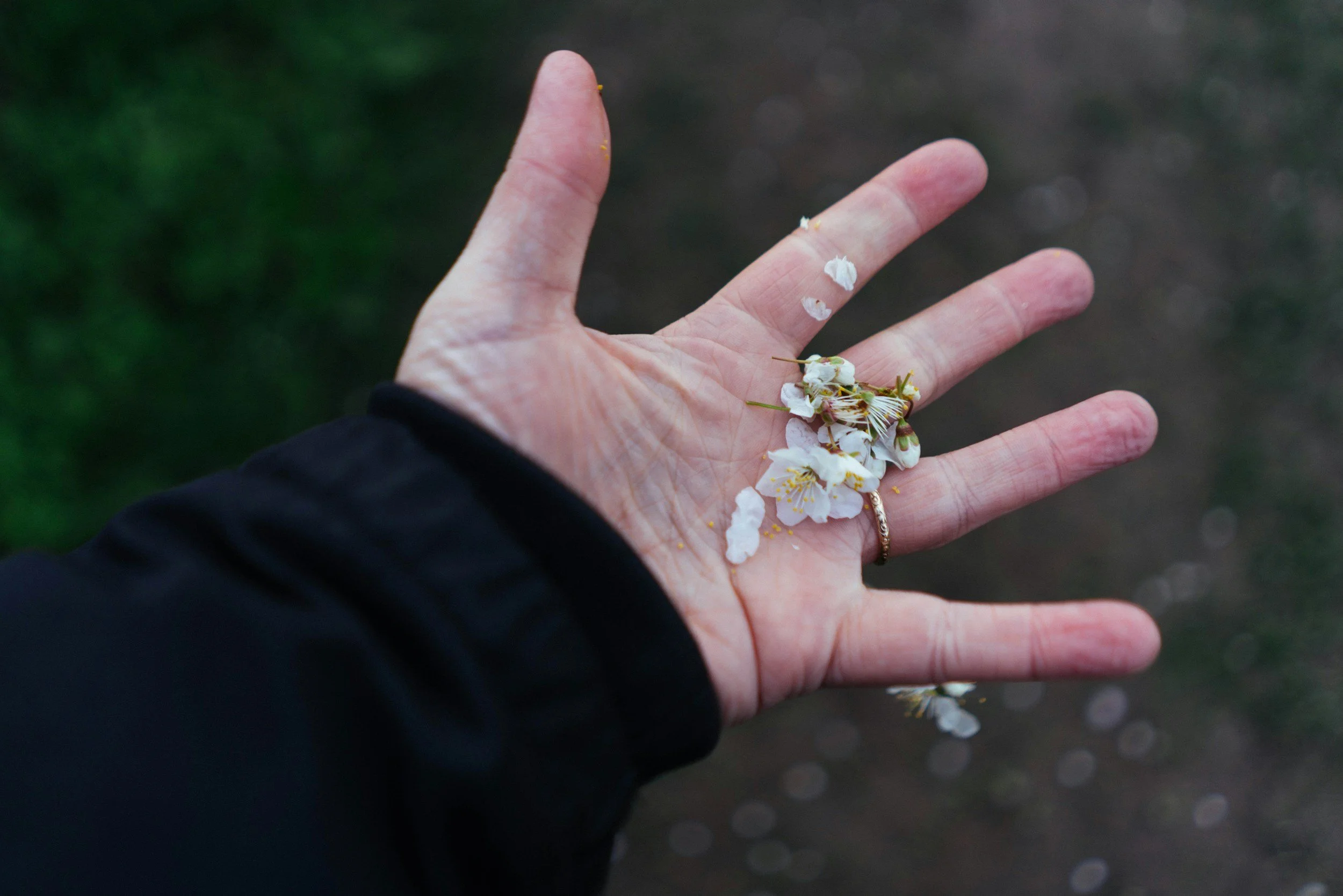 Grief Changes Your Friendships: 8 Reasons Why Relationships Fall Apart After Loss