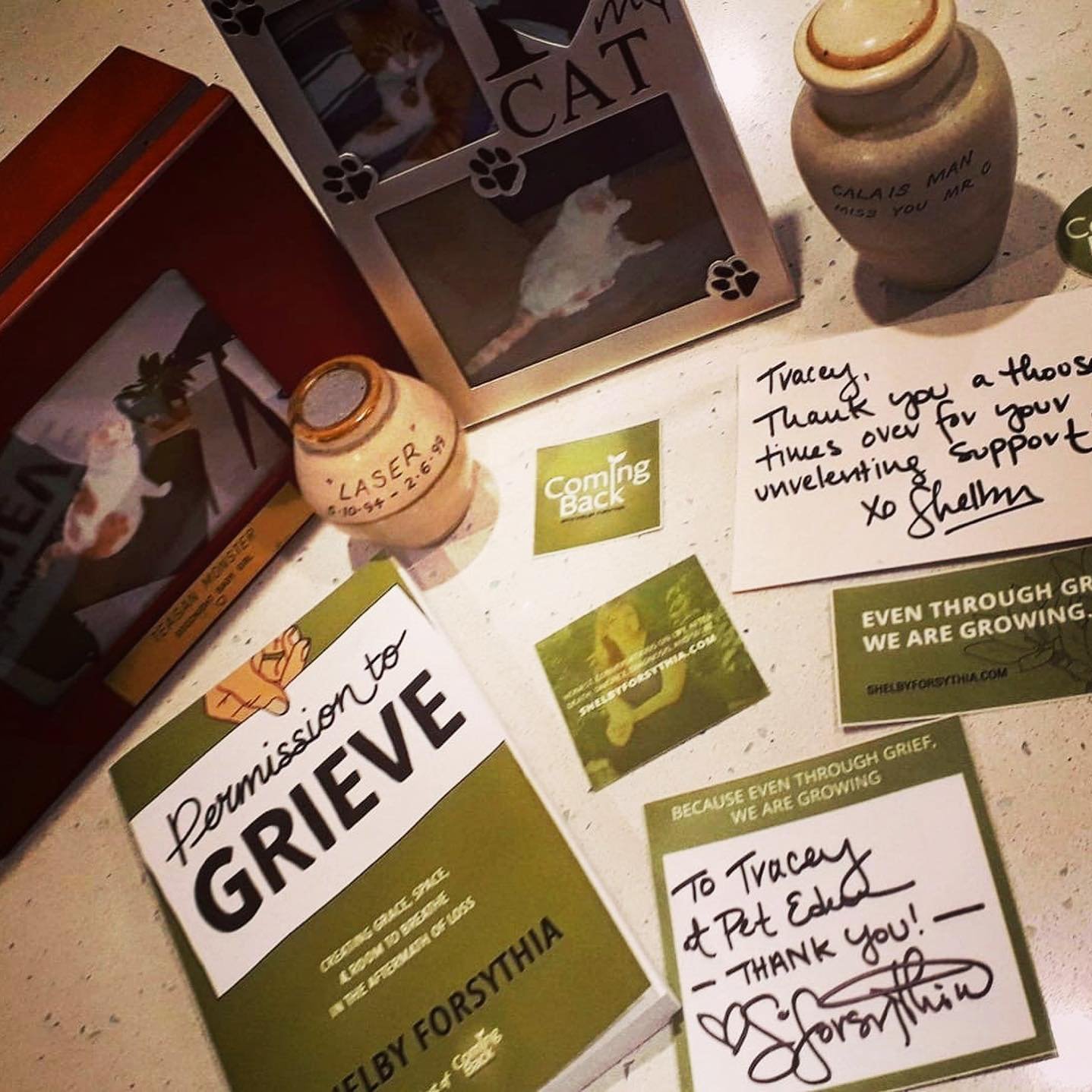 Permission to Grieve Tracey Pet Eden.jpeg