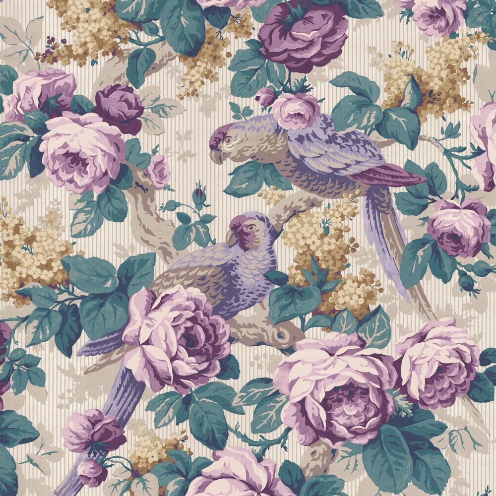 Rosellas