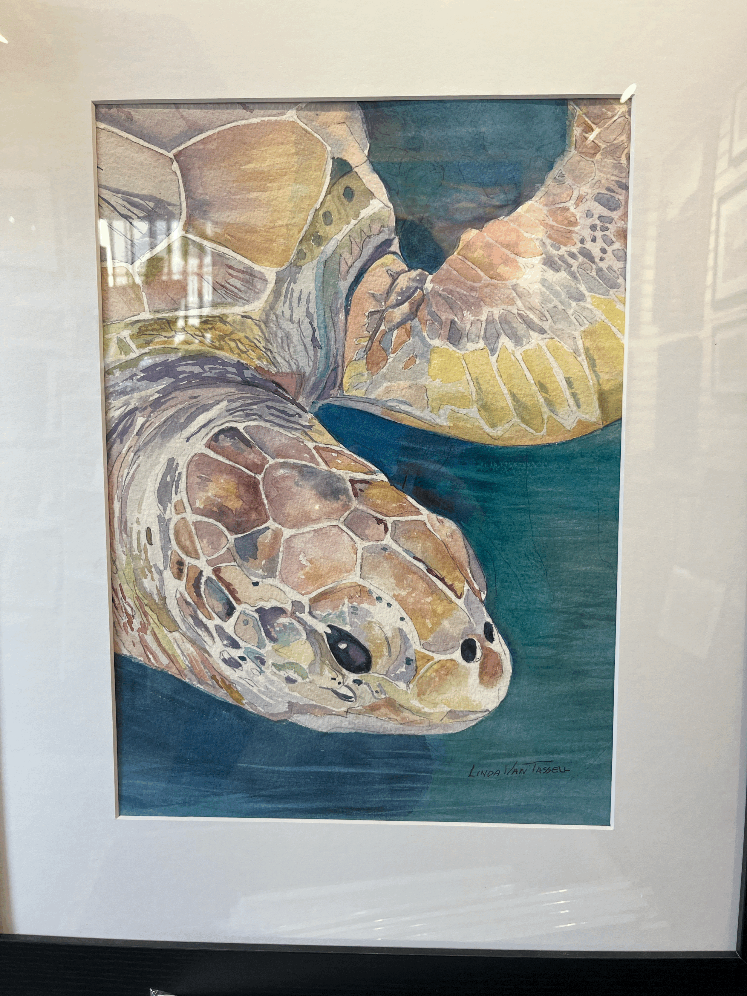 Turtle by Linda Van Tassell