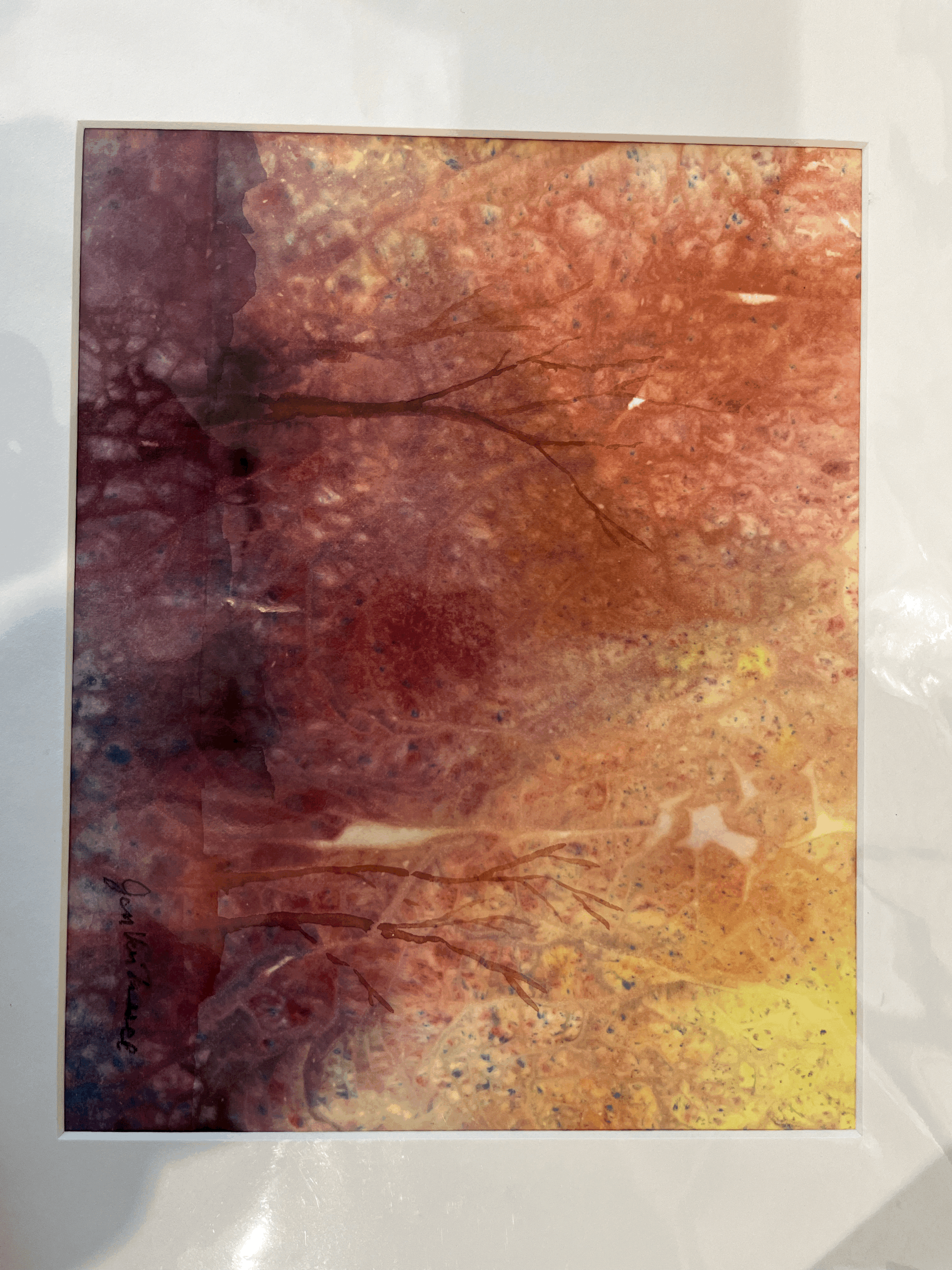Sun Down by Jan Van Tassell