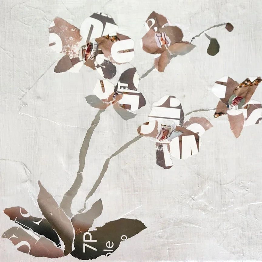 Urban Orchid Bloom III by Amalia Tagaris