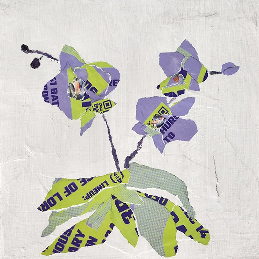 Urban Orchid Bloom II by Amalia Tagaris