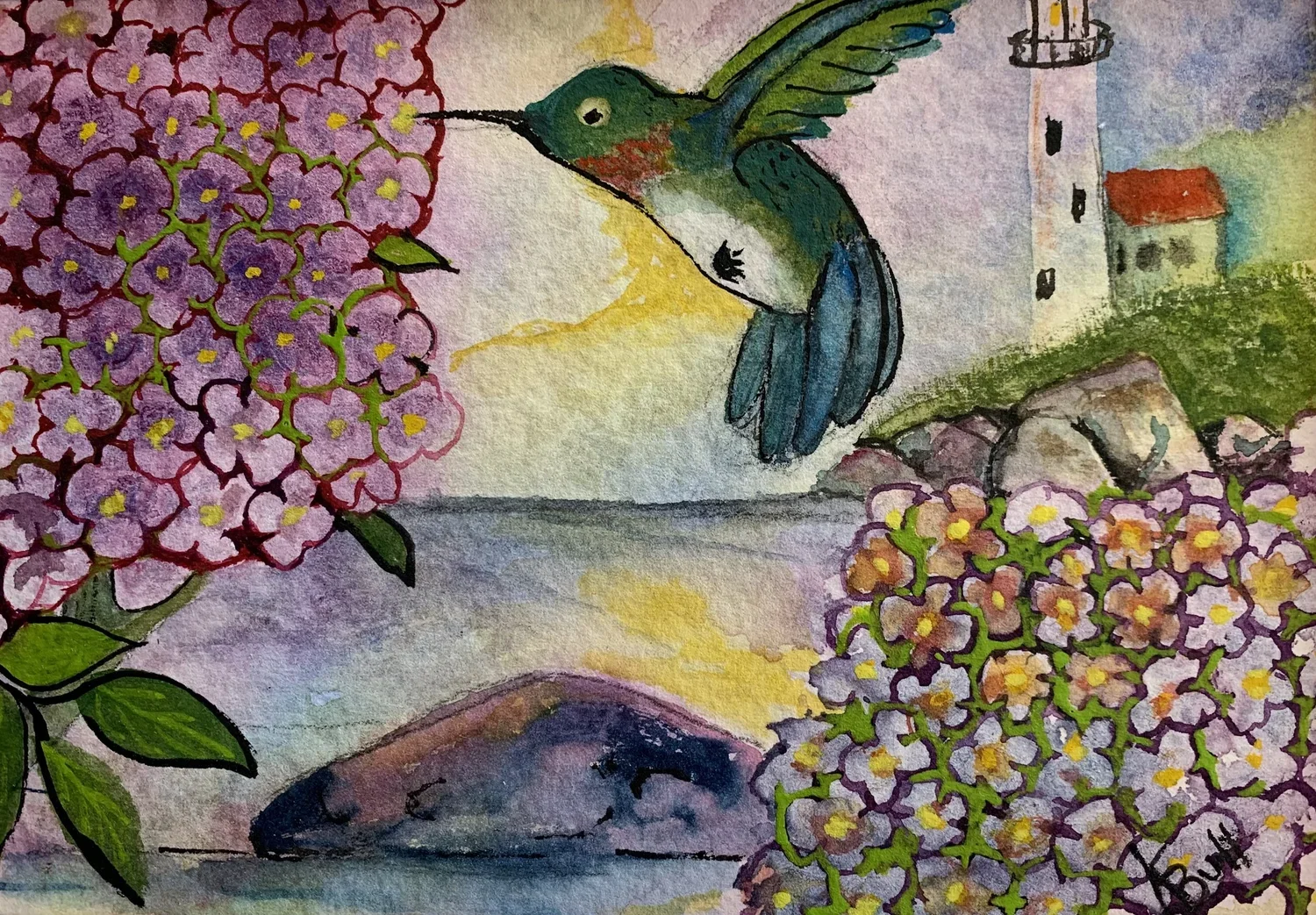 Humming Bird