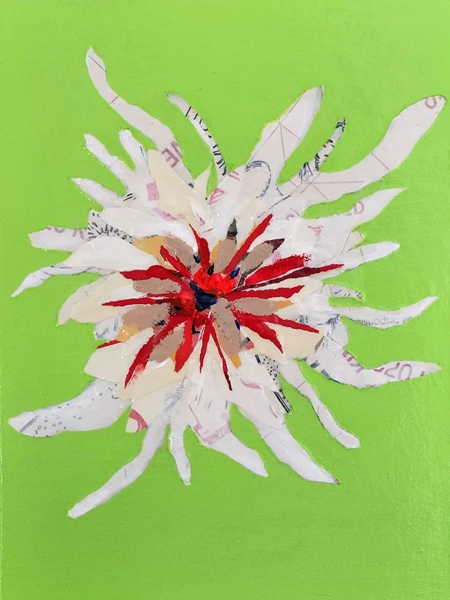 Green Spider Blossom.jpg