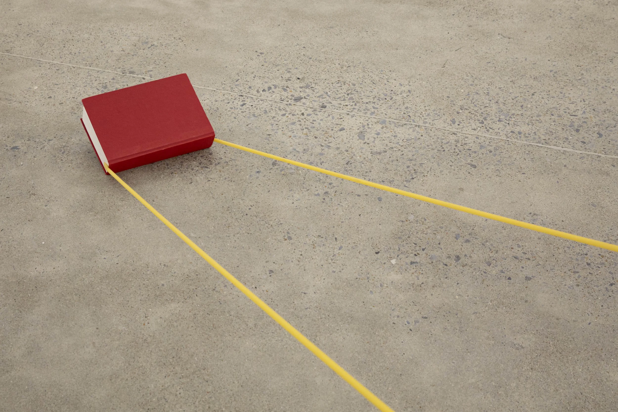 Miquel Braceli 
 Disparador , 2017 
book, rubber, metal hinge 
dimensions variable 
IN10798