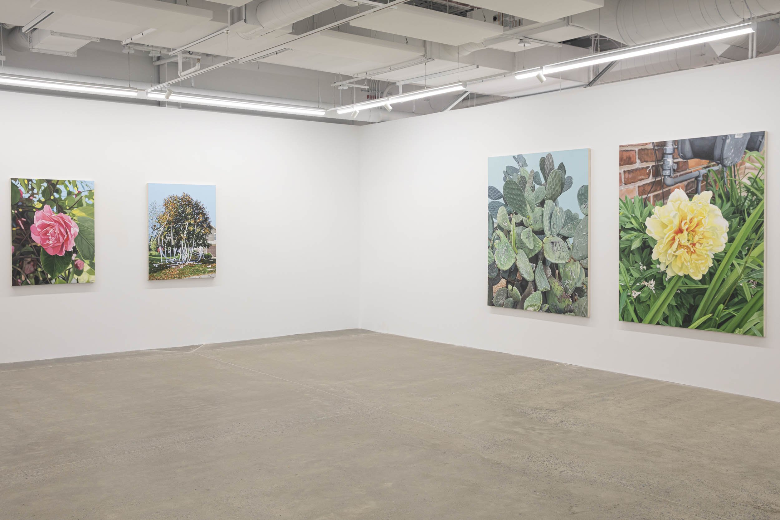 Installation view: Louise Jones:  Inheritance 