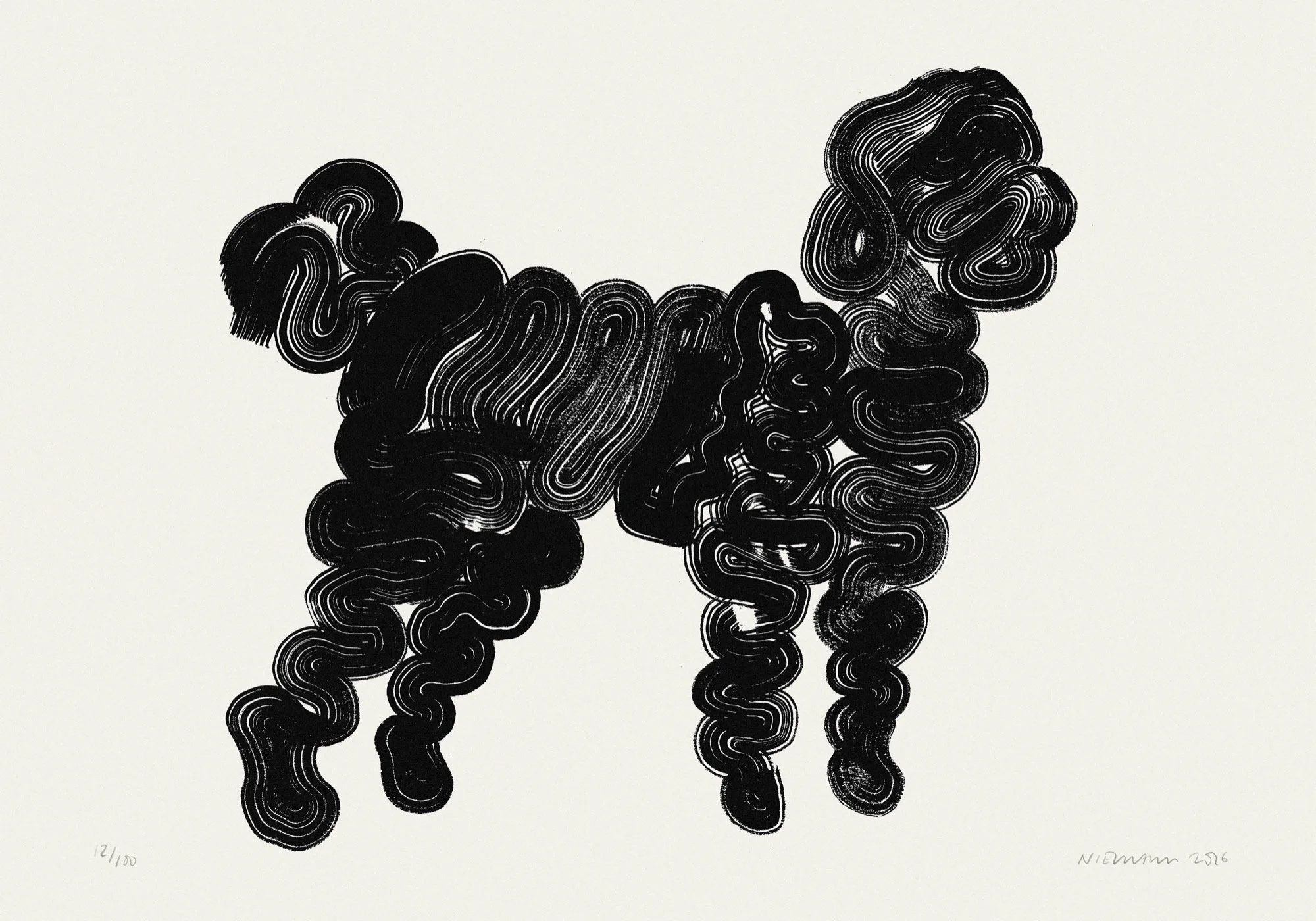 Labradoodle_Shopify.jpg