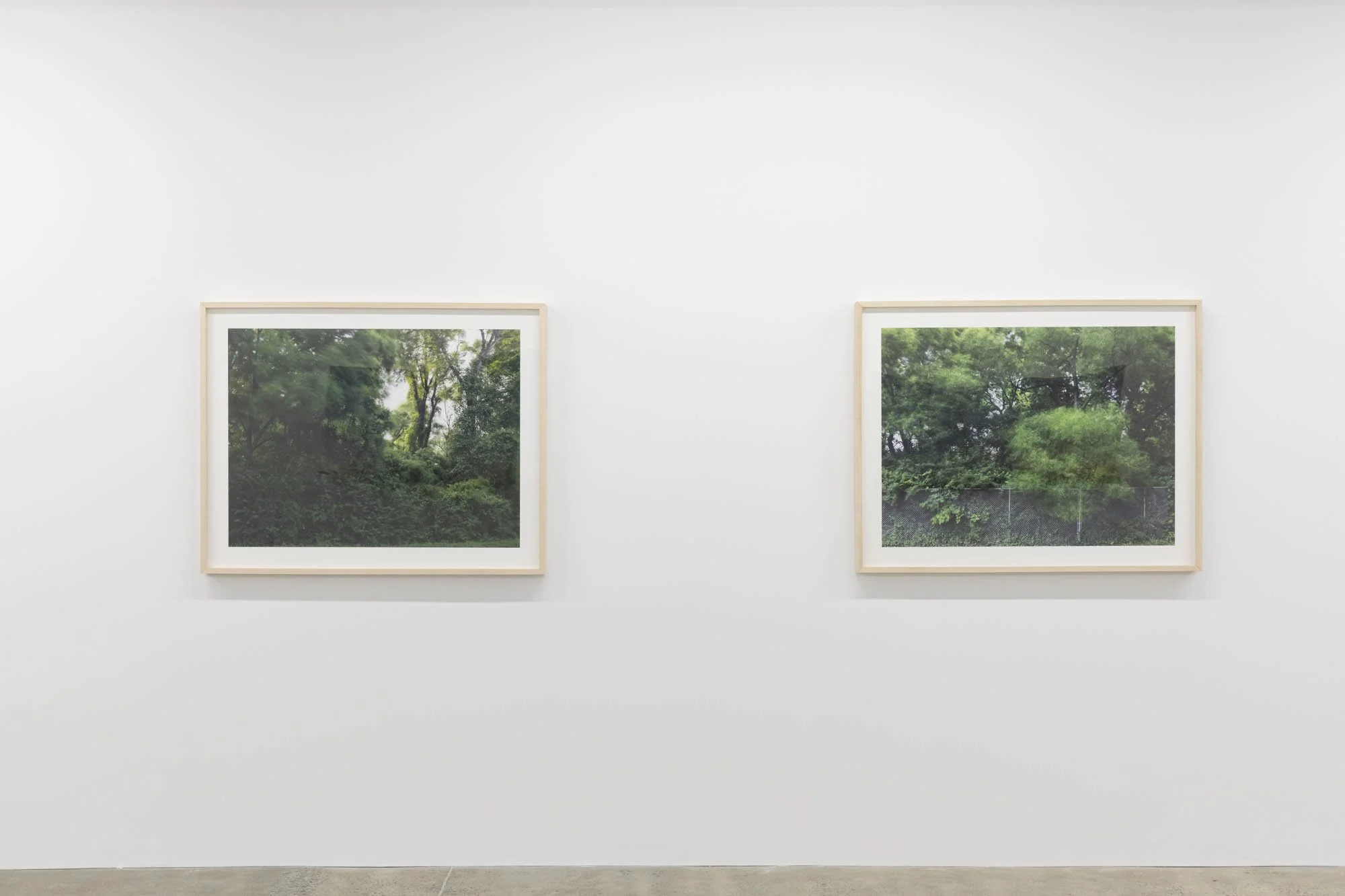 Installation view 
Caroline Allison,  The Weight of Wind 