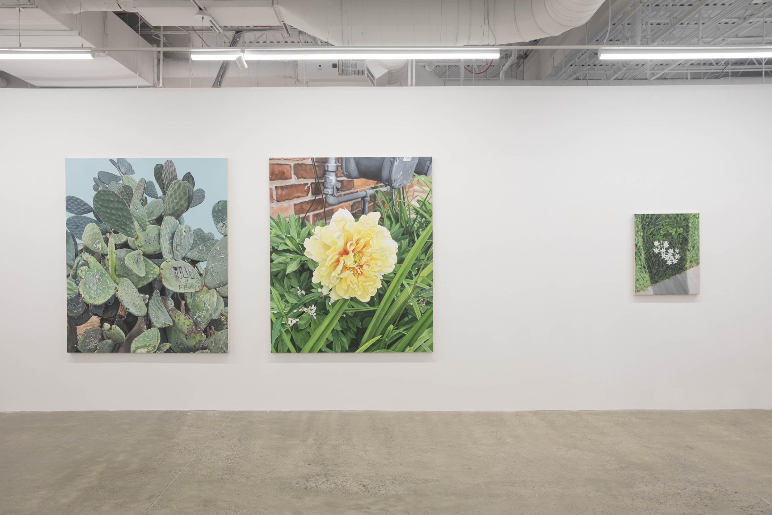 Installation view: Louise Jones:  Inheritance 