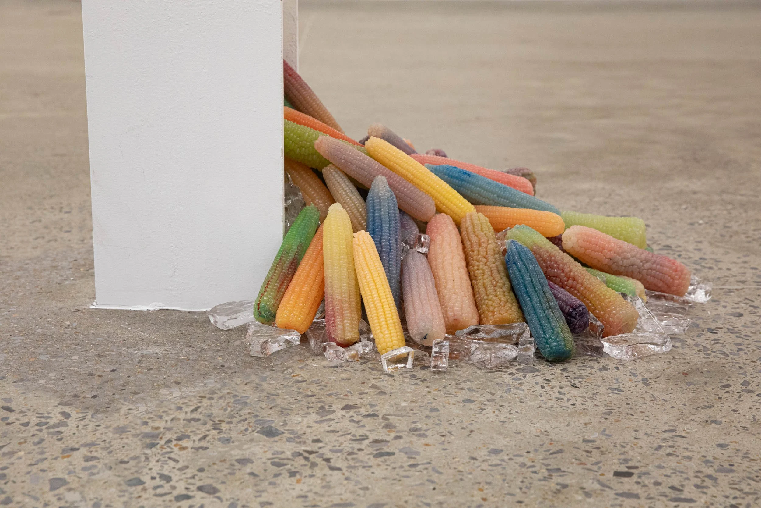 Moses Williams 
 Corn , 2026 
Mixed media with resin 
IN11774