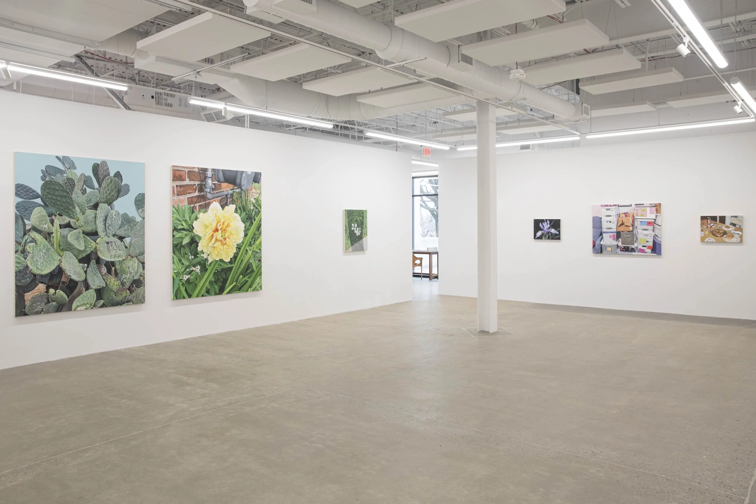 Installation view: Louise Jones:  Inheritance 