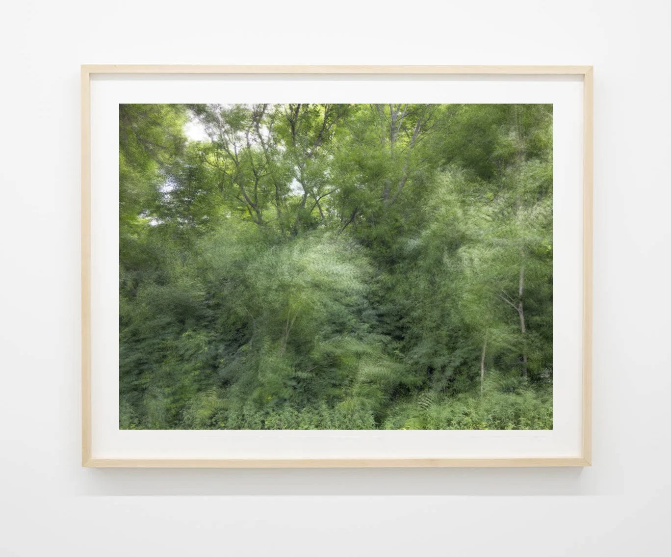 Caroline Allison 
 The Weight of Wind , 2025 
Archival pigment print 
36 x 46 in (91.4 x 116.8 cm) 
IN9631