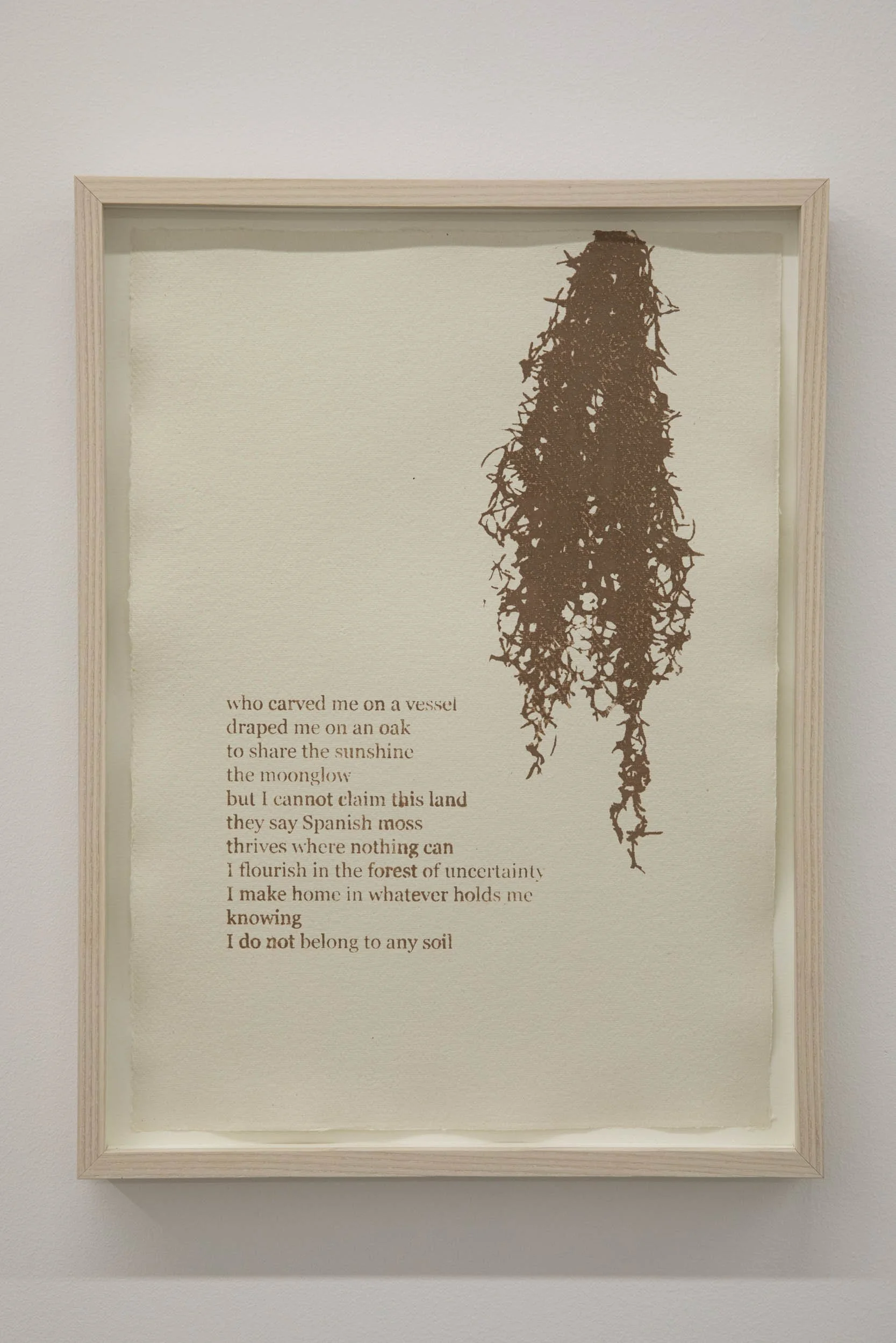 Raheleh Filsoofi 
 Dust Poem , 2026 
Argillotype 
16 x 12 in (40.6 x 30.5 cm)
18 x 13.5 in (45.7 x 34.3 cm) Framed 
IN10819