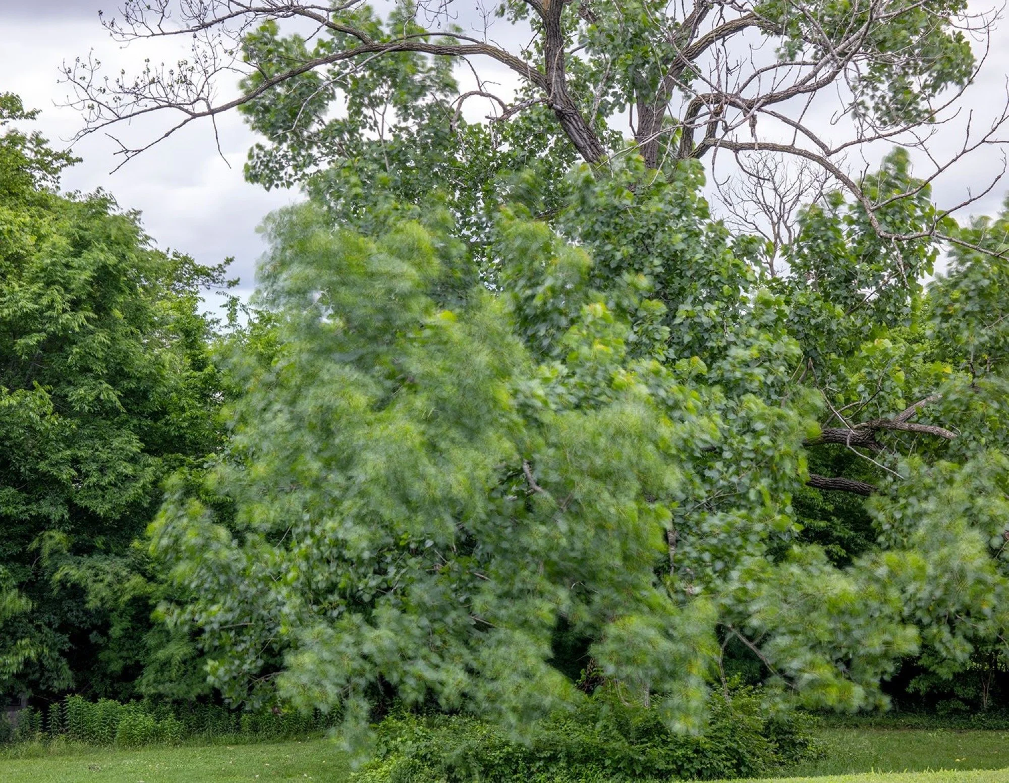 Caroline Allison 
 The Weight of Wind , 2025 
Archival pigment print 
36 x 46 in (91.4 x 116.8 cm) 
IN9685