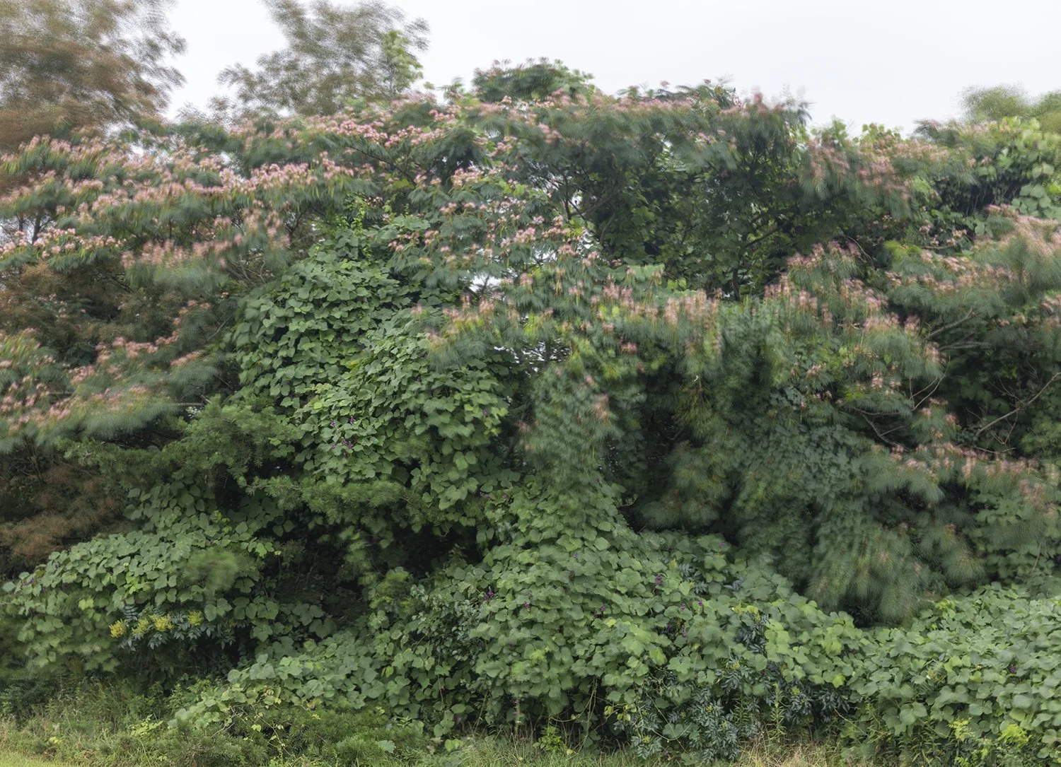 Caroline Allison 
 The Weight of Wind , 2025 
Archival pigment print 
36 x 46 in (91.4 x 116.8 cm) 
IN9632