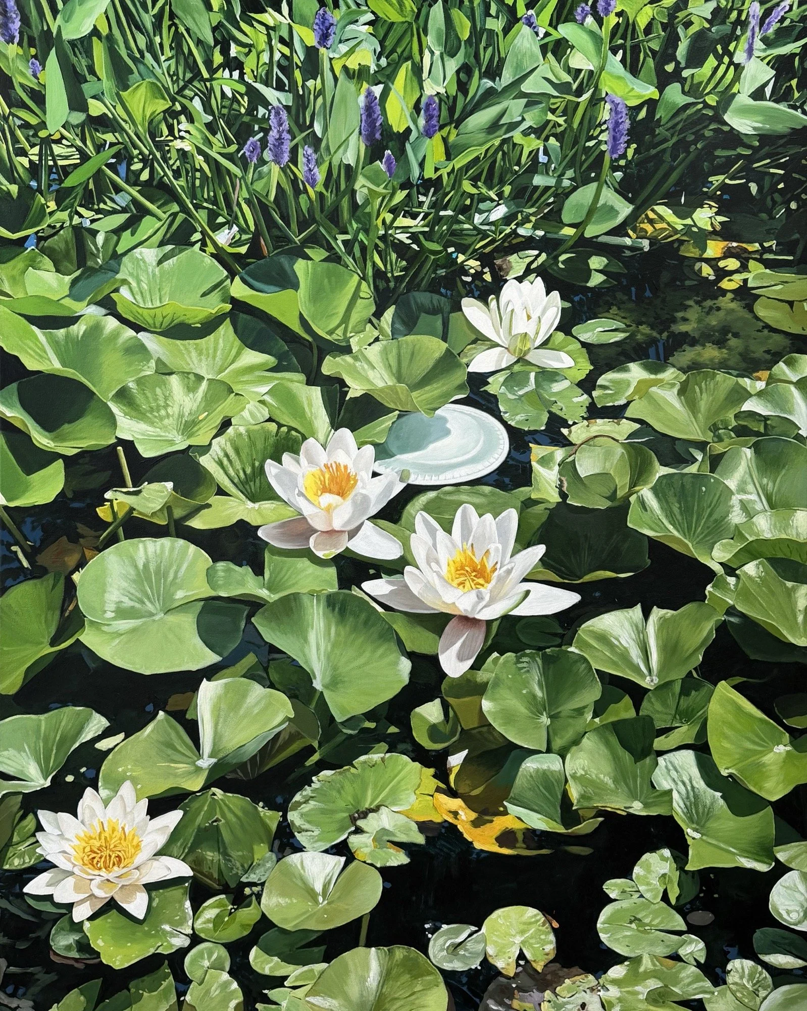 Louise Jones 
 Water Lilies of Fox Creek , 2026 
Acrylic on canvas on board 
60 x 48 in (152.4 x 121.9 cm)