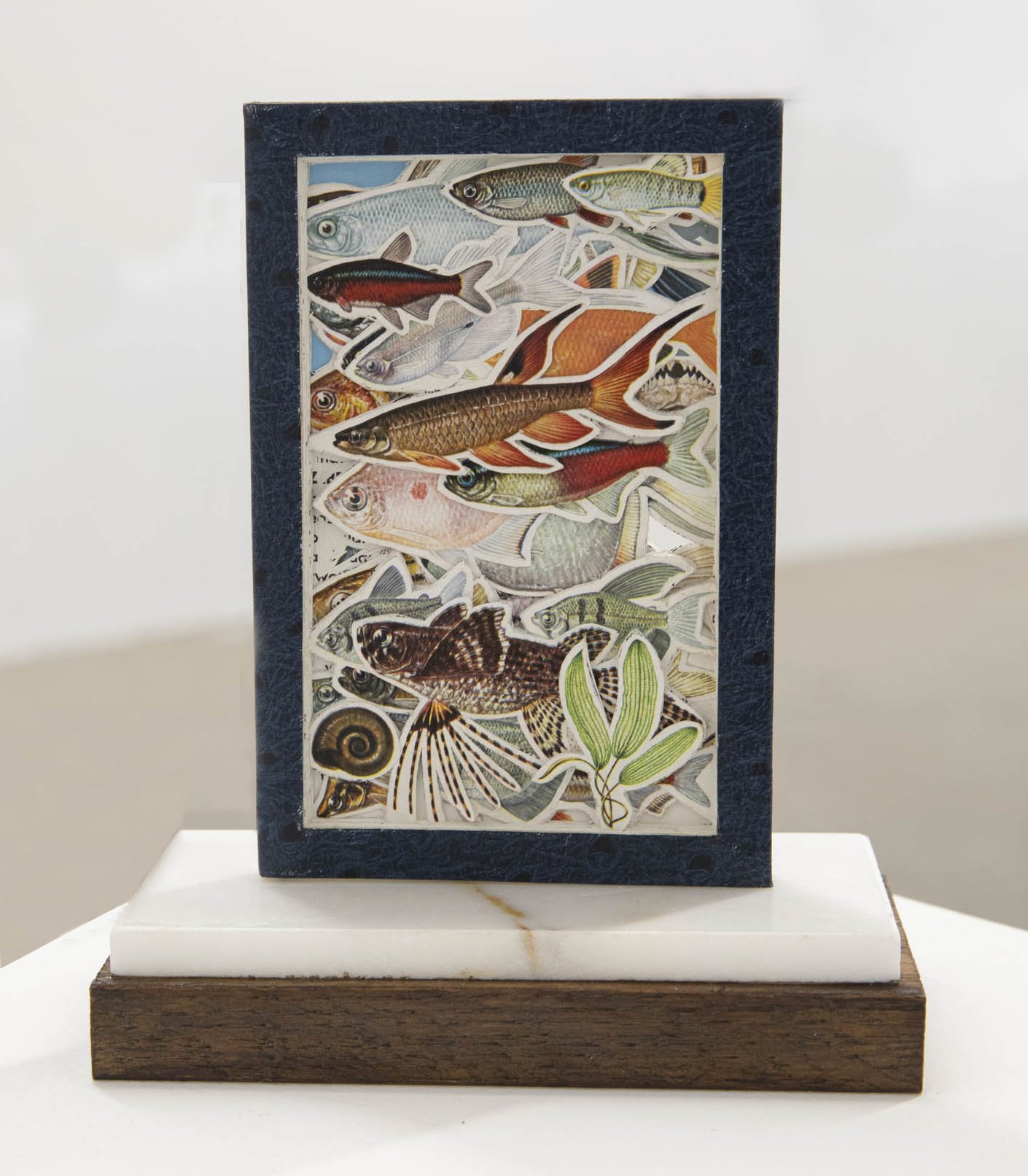 James Allen 
 Tropical Fish , 2025 
book excavation with marble and oak stand 
7 x 6 x 2.5 in (17.8 x 15.2 x 6.4 cm) 
IN10805