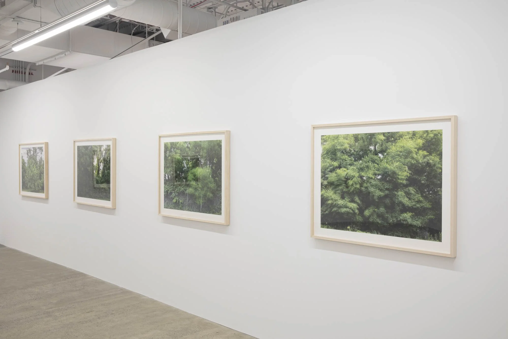 Installation view 
Caroline Allison,  The Weight of Wind 