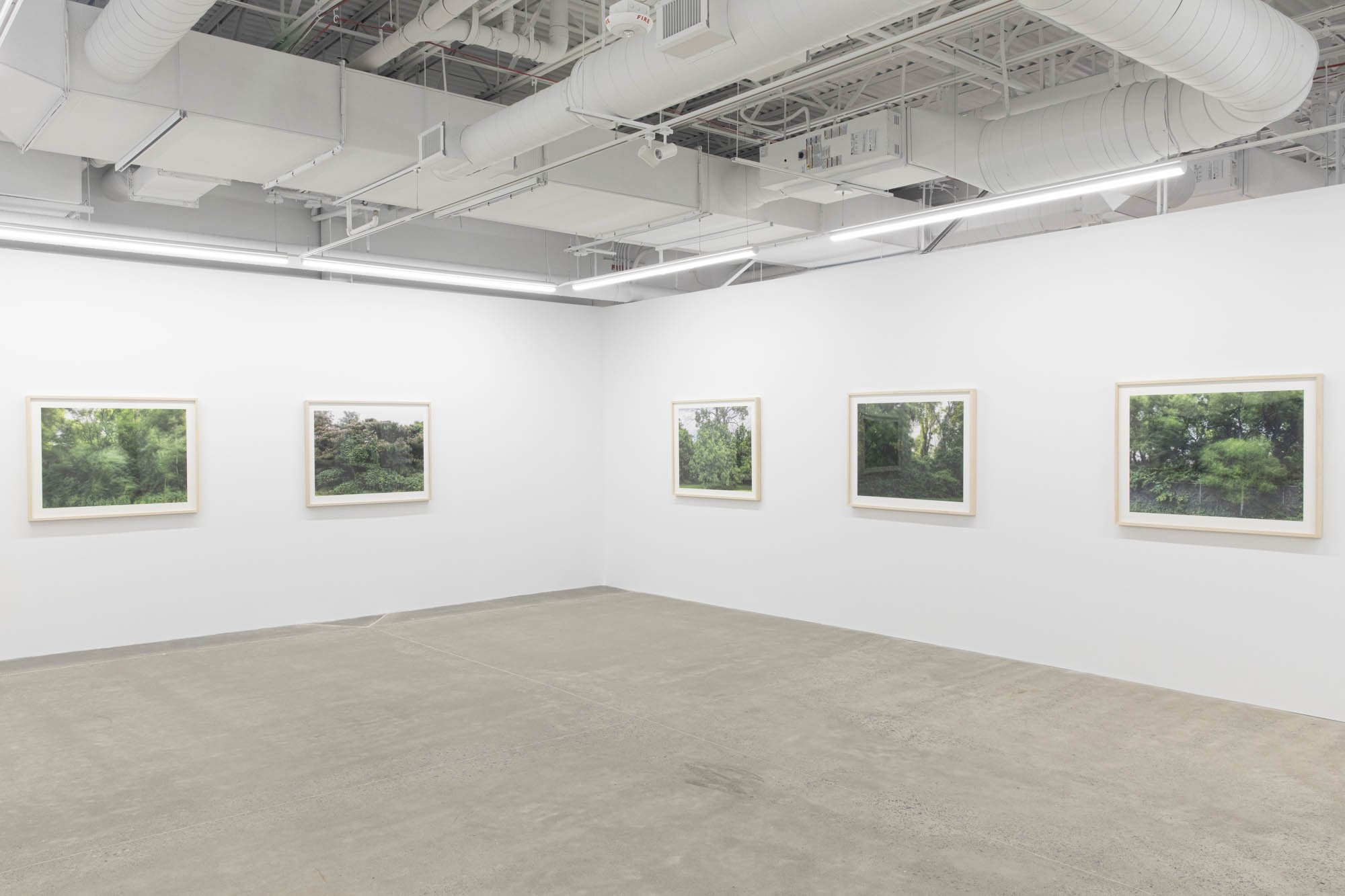 Installation view 
Caroline Allison,  The Weight of Wind 