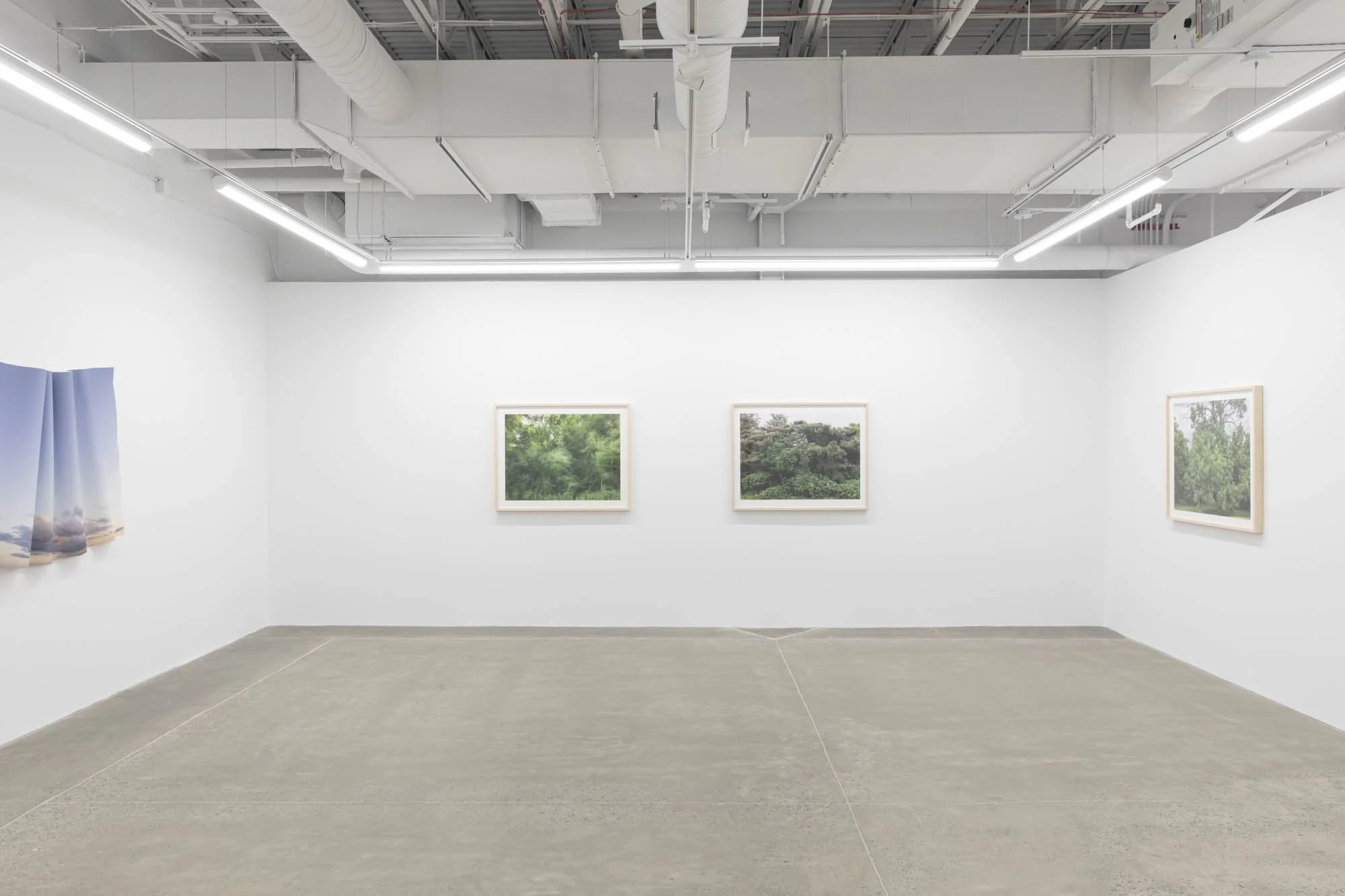 Installation view 
Caroline Allison,  The Weight of Wind 