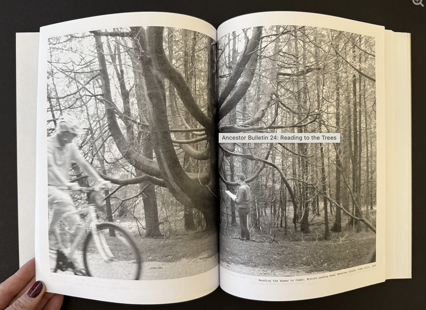 Jana Harper 
 Ancestor Bulletin 24: Reading to the Trees , 2026