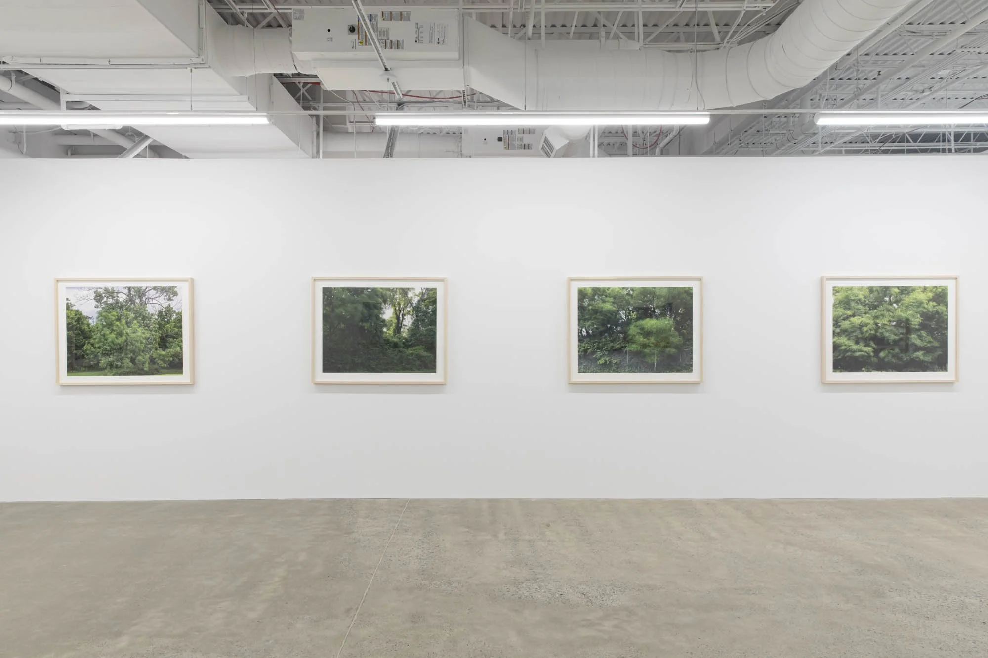 Installation view 
Caroline Allison,  The Weight of Wind 