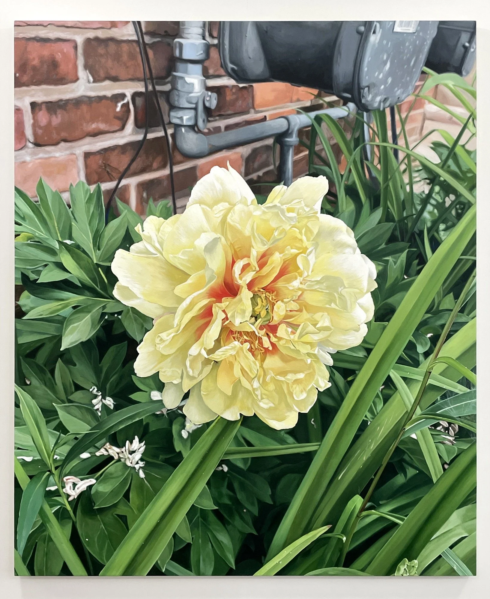 Louise Jones 
 Last Peony , 2026 
Acrylic on canvas 
72 x 60 in  (182.9 x 152.4 cm)