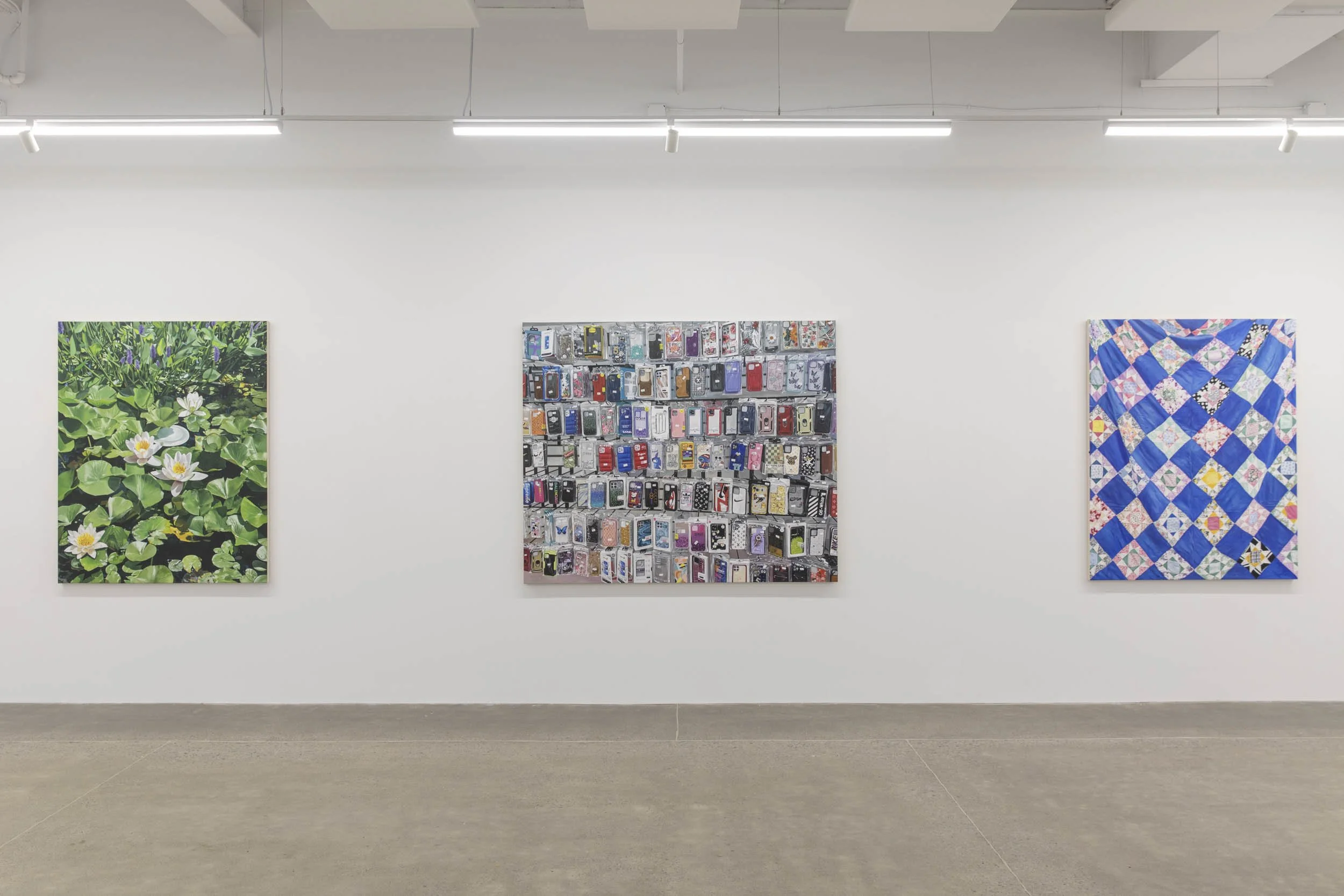 Installation view: Louise Jones:  Inheritance 