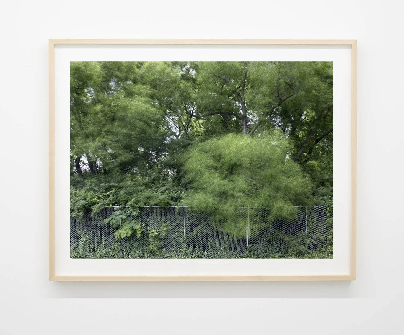 Caroline Allison 
 The Weight of Wind , 2025 
Archival pigment print 
36 x 46 in (91.4 x 116.8 cm) 
IN9633