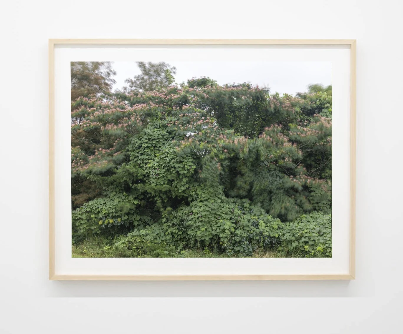 Caroline Allison 
 The Weight of Wind , 2025 
Archival pigment print 
36 x 46 in (91.4 x 116.8 cm) 
N9632